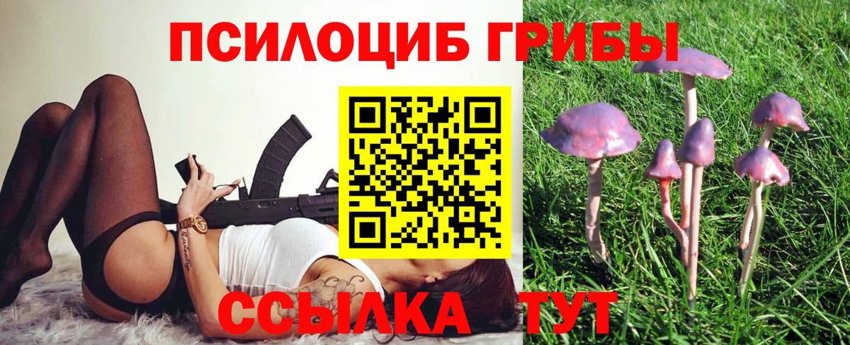 Псилоцибиновые грибы Psilocybine cubensis Ступино