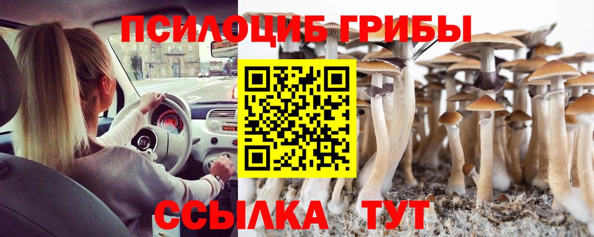 где найти   Вход с VPN  Ступино  Галлюциногенные грибы Psilocybe  Псилоцибиновые грибы Psilocybine cubensis 